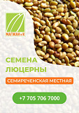 Семена люцерны Улаанбаатар