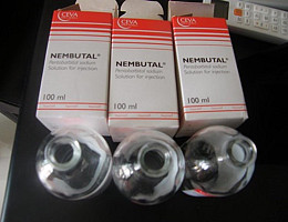 Buy Pain killers | Mdma, 2CB, A-PVP, 3CMC | OZEMPIC | STEROIDS (Ecstasy/Nembutal) | Heroin Cocaine (Tel Улан-Батор