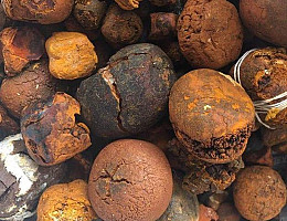 Buy cow /Ox Gallstone Available On Stock Now @ (WhatsApp: +237673528224) Улан-Батор