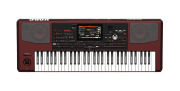New Korg PA1000 Professional Keyboard Иностранный город