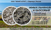 Рапсын шахдас Маалингын шахдас Гадаад